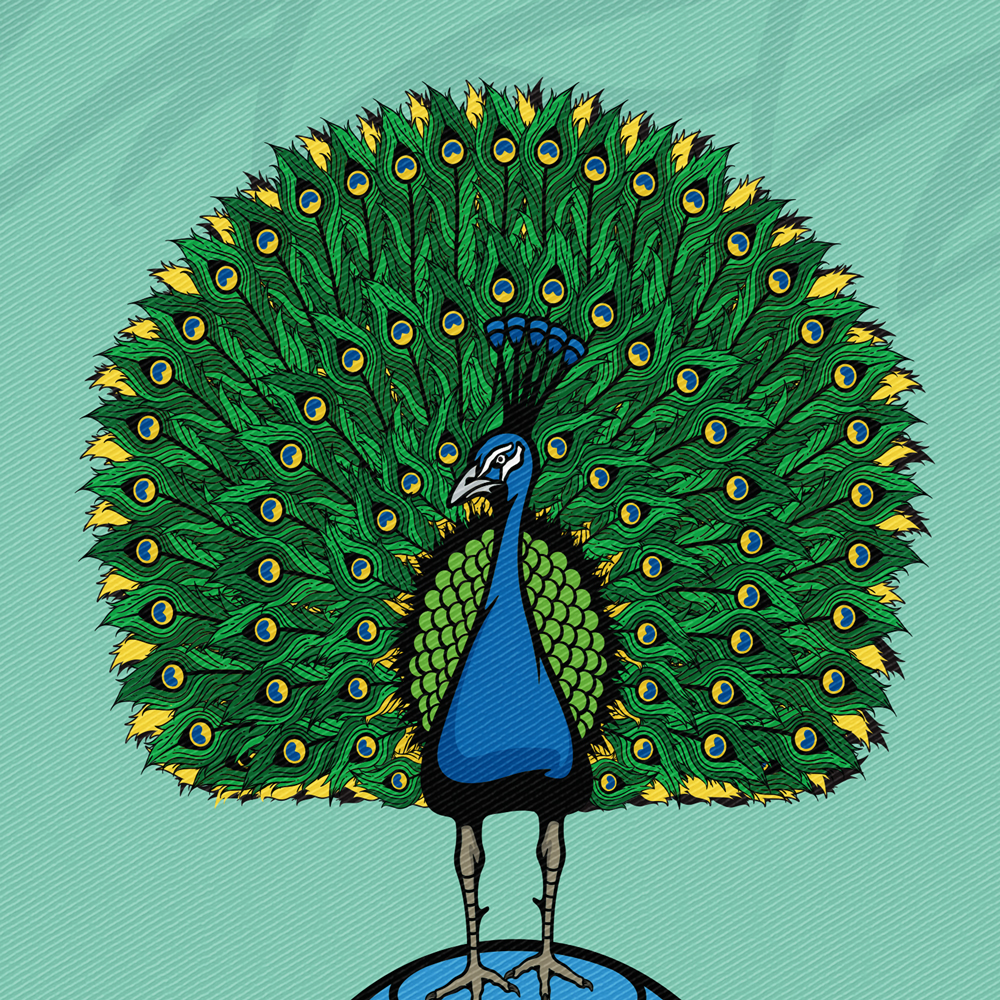 Illustration of a peacock for a Starr Fireworks package design