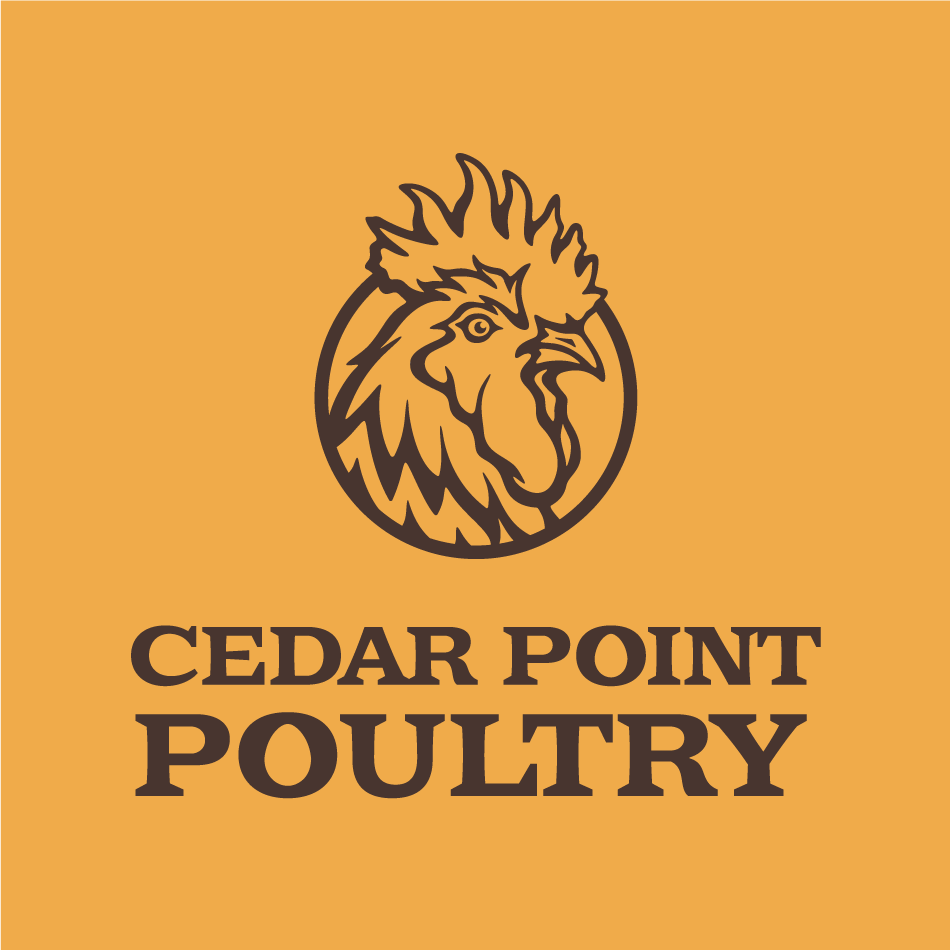 Illustrative chicken logo design for Cedar Pount Poultry