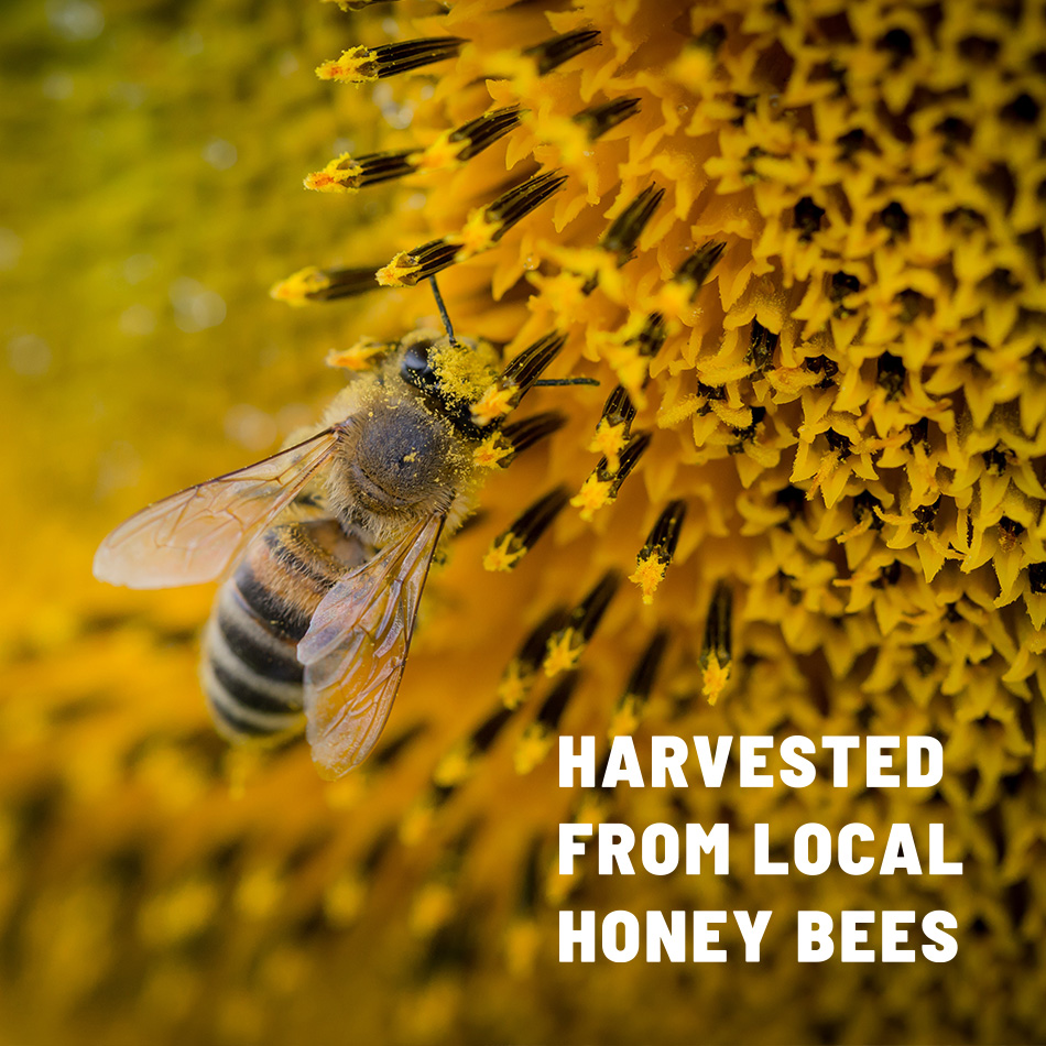 Harvested from Local Honey Bees