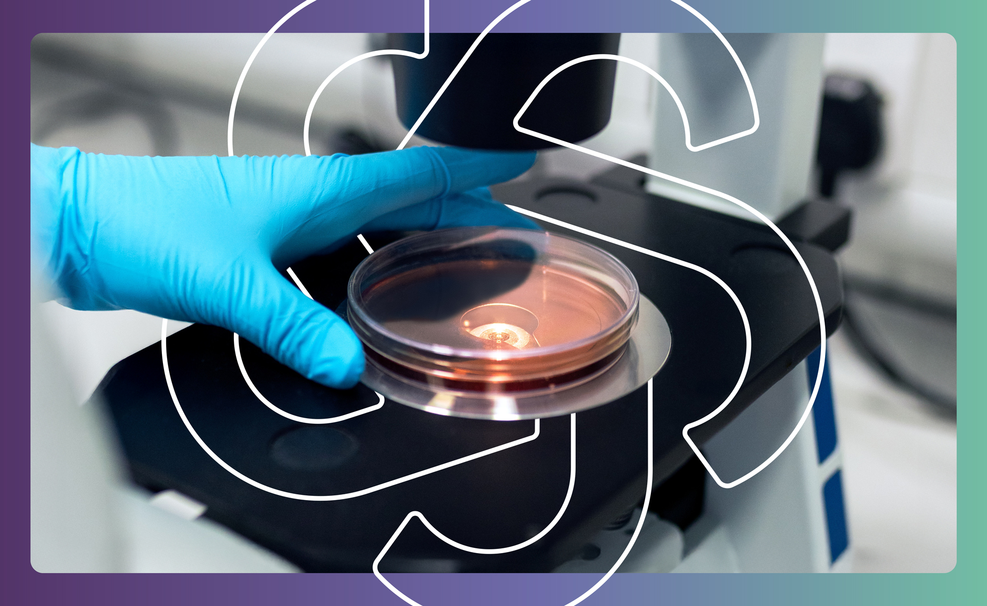 Northwest-Indiana-Logo-Design_Kucsera-Design_Jacaranda-Biosciences_Bioscience-Brand-Identity_Photo-Ender-1