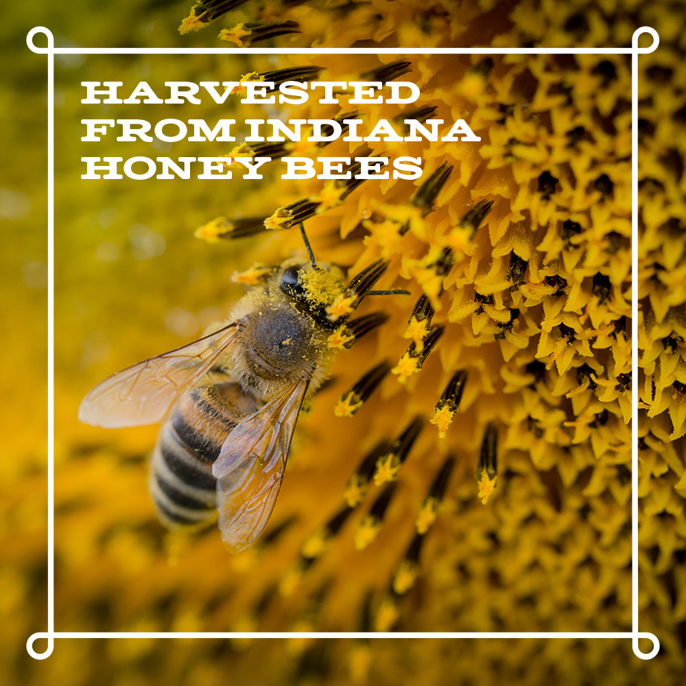 Northwest-Indiana-Logo-Design_Kucsera-Design_Straight-Up-Honey_Packaging-Design_Bee_V22 Harvested from Local Honey Bees